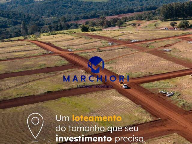 #193 - Terreno para Venda em Cascavel - PR - 1